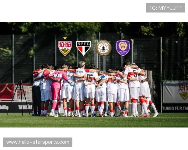 斯图加特足球俱乐部百年征程与德甲荣耀复兴之路探析与未来蓝图展望 斯图加特足球俱乐部百年征程与德甲荣耀复兴之路探析与未来蓝图展望