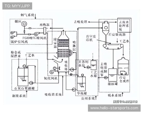 体育技术演变与运动表现优化的系统分析研究